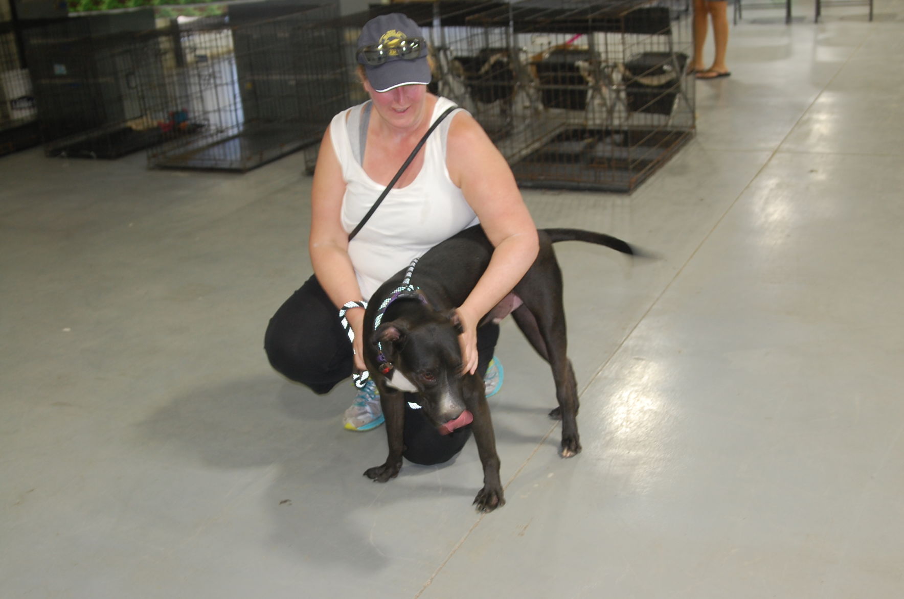 Piedmont animal rescue (26).JPG